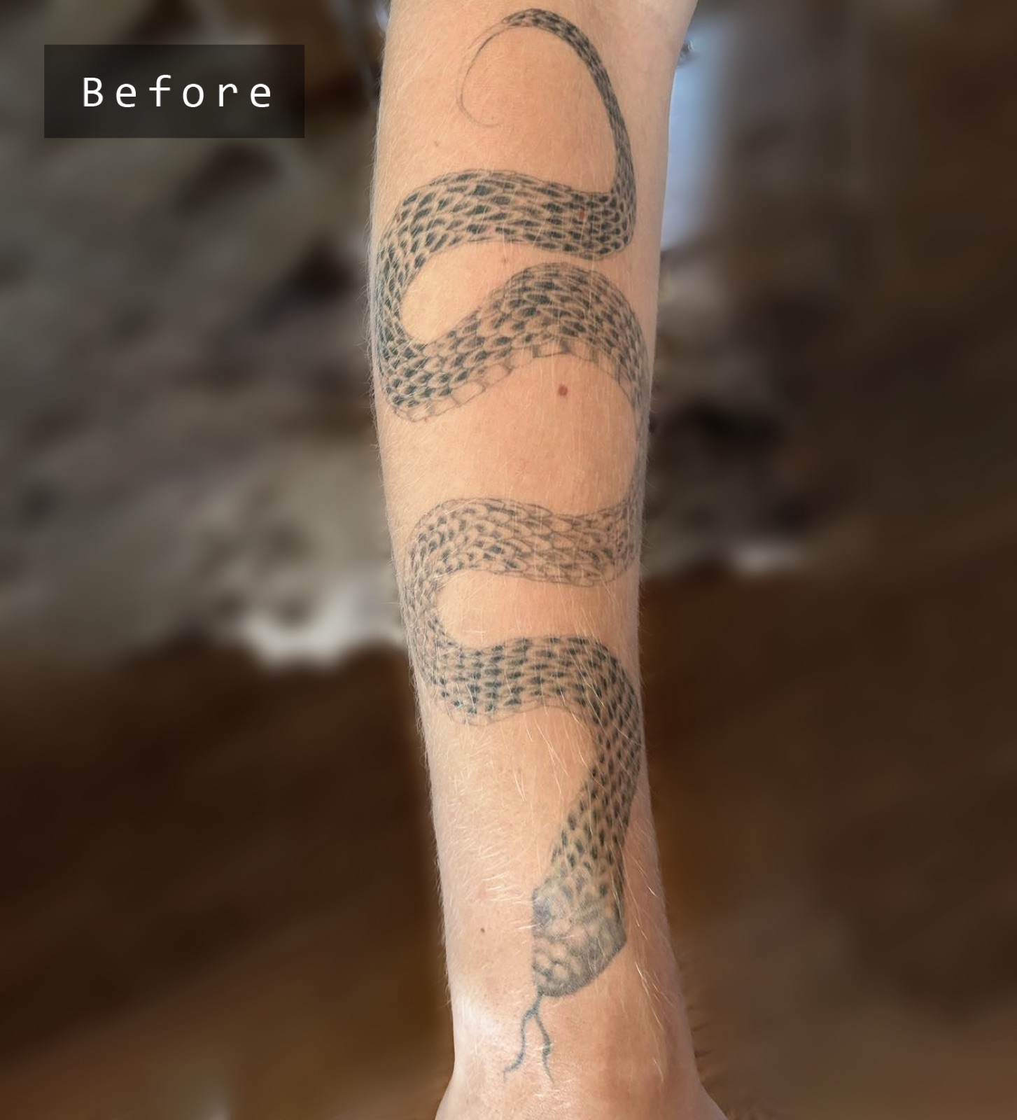 Gerda Ra Tattoo · Cover-up