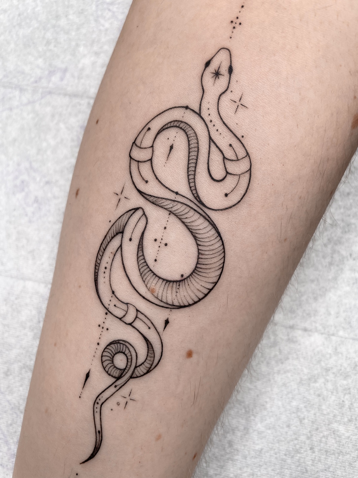 Gerda Ra Tattoo · Fine line