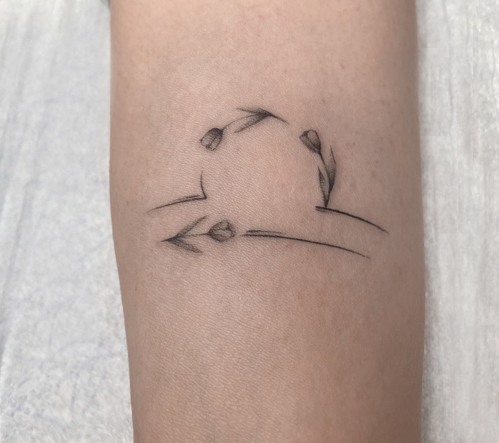 Gerda Ra Tattoo · Fine line