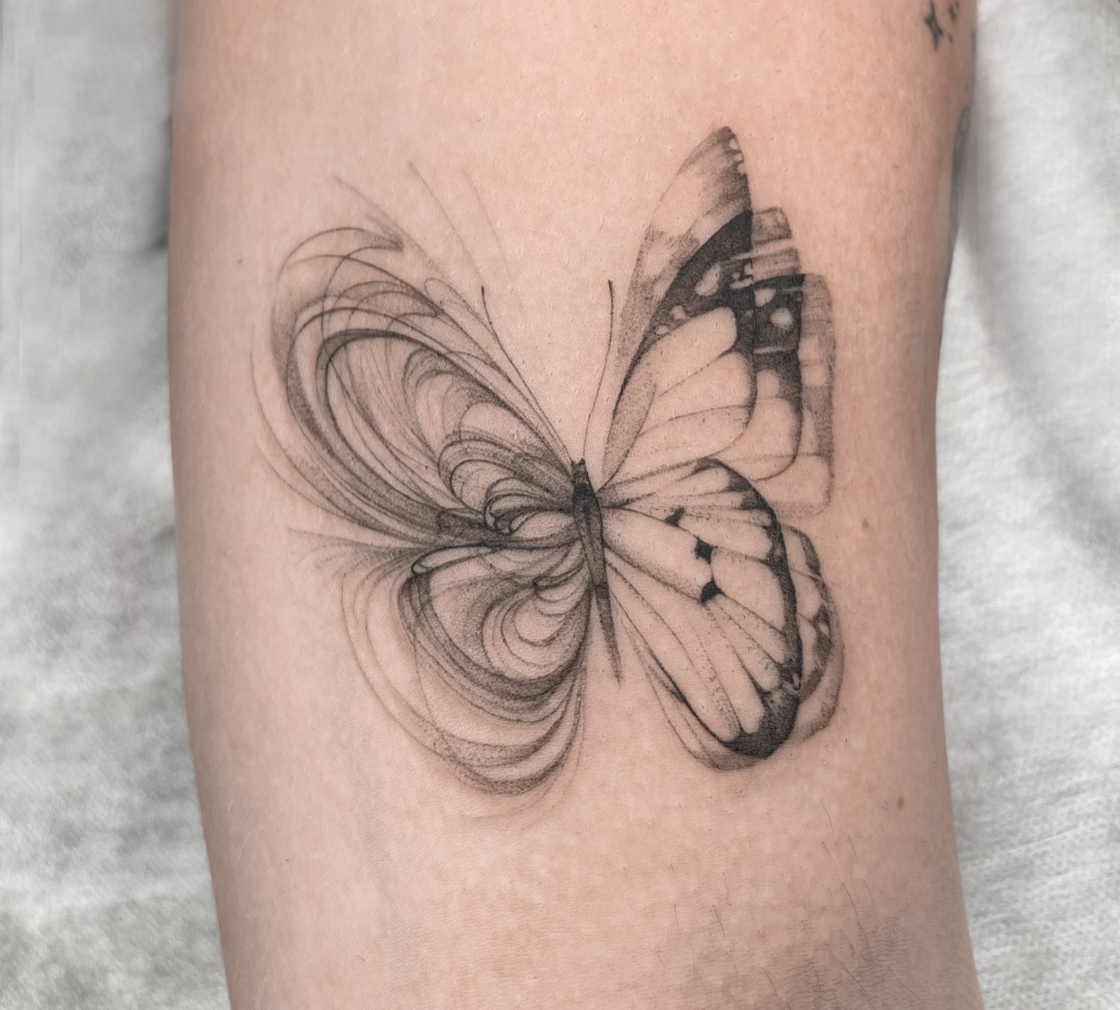 Gerda Ra Tattoo · Fine line