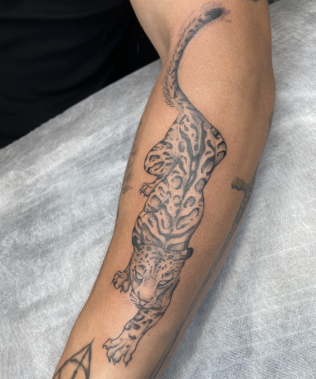 Gerda Ra Tattoo · Grafika