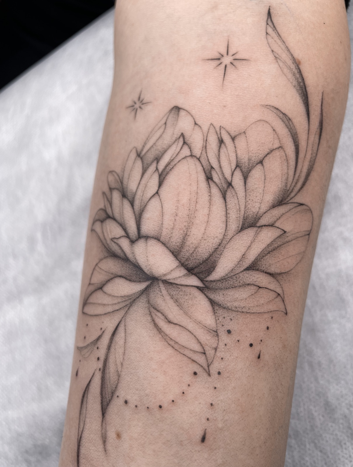 Gerda Ra Tattoo · Grafika