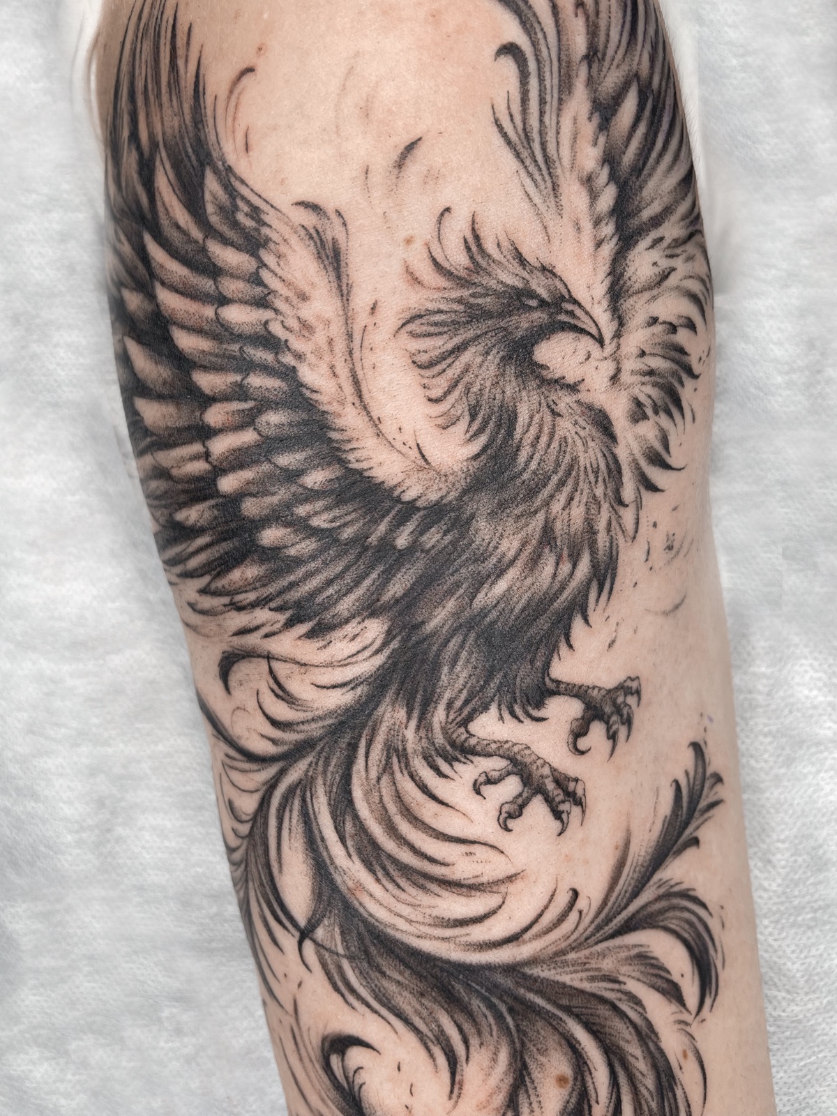 Gerda Ra Tattoo · Grafika