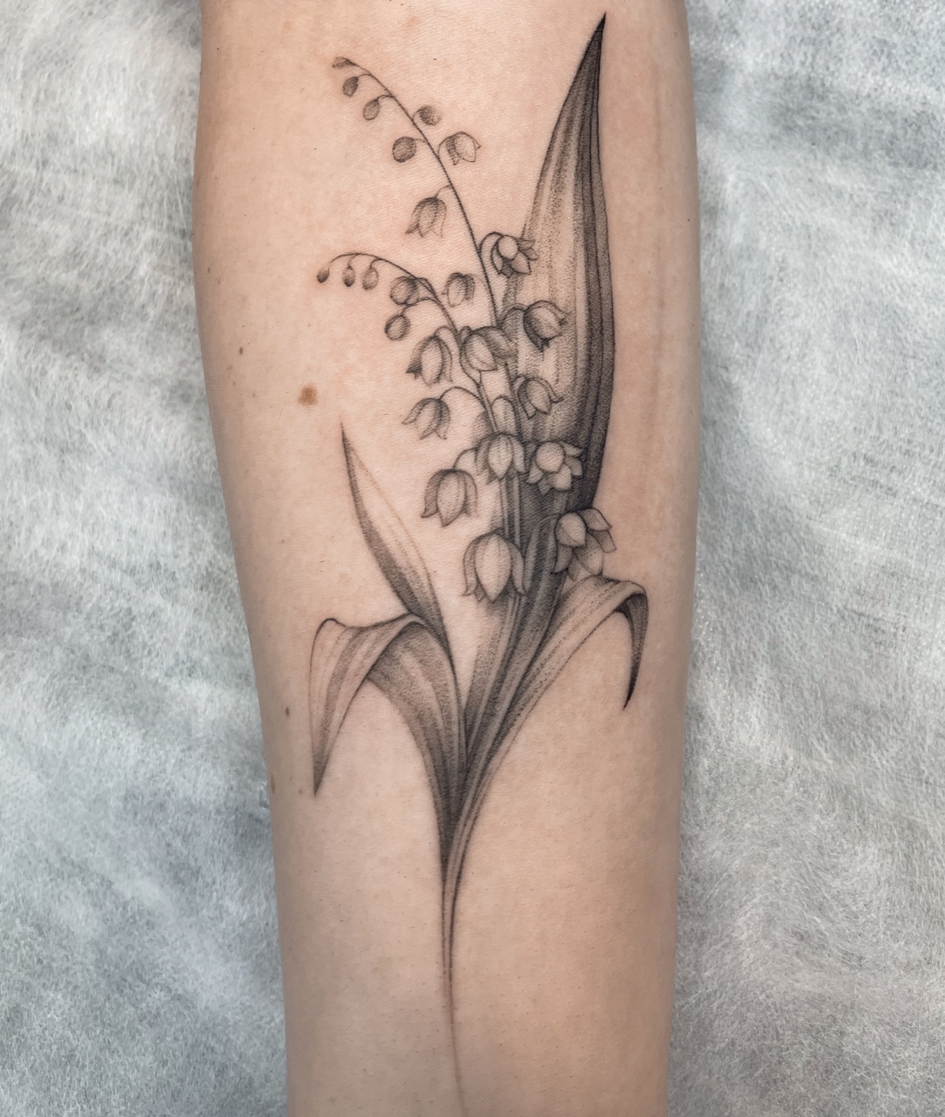 Gerda Ra Tattoo · Grafika