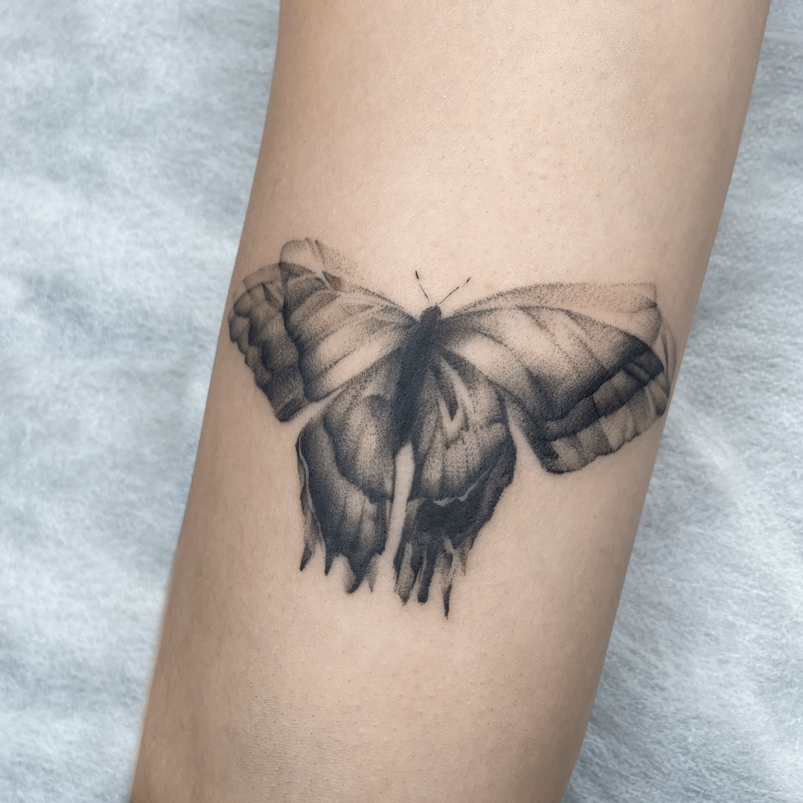 Gerda Ra Tattoo · Grafika