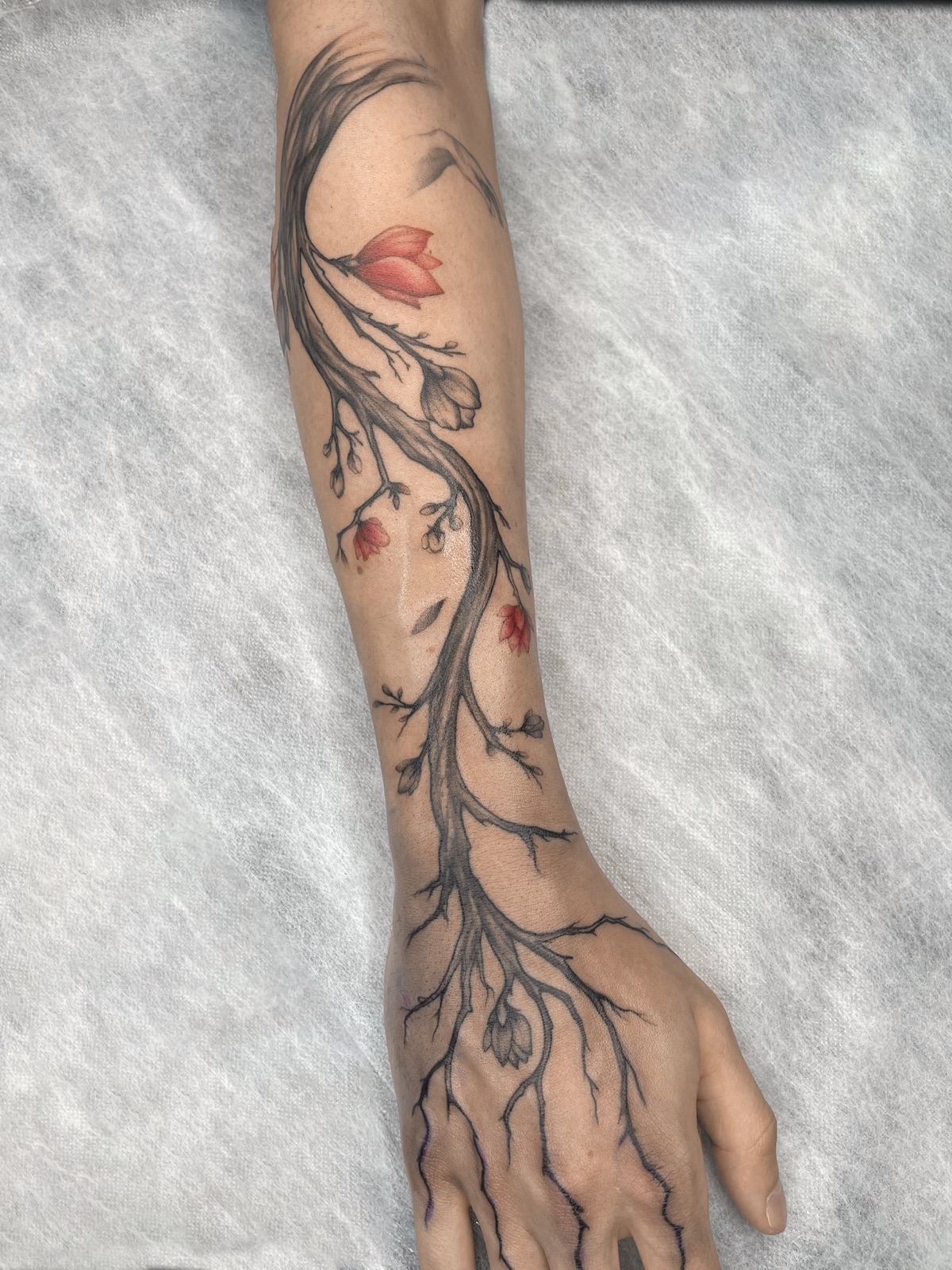 Gerda Ra Tattoo · Spalvotos