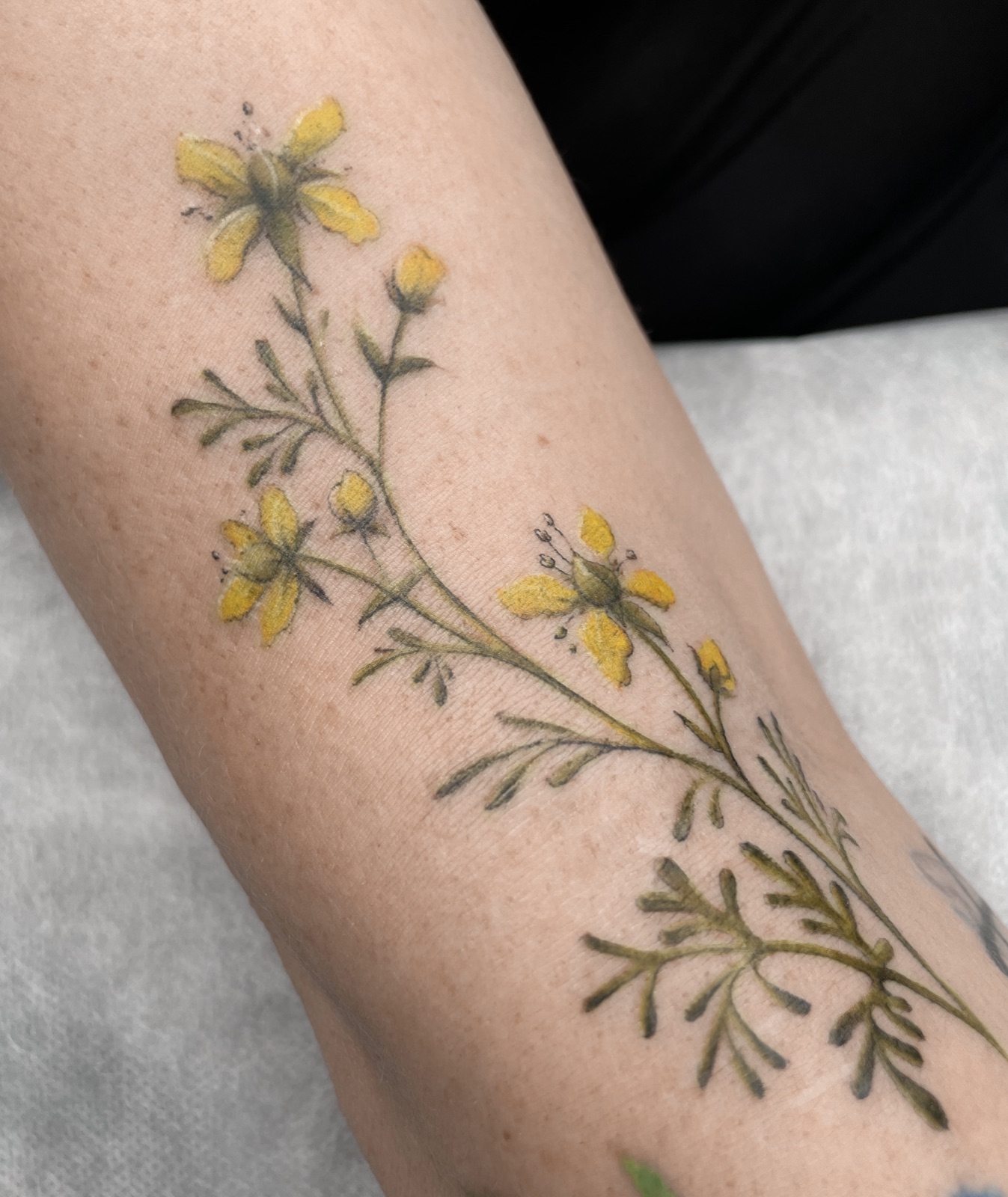 Gerda Ra Tattoo · Spalvotos