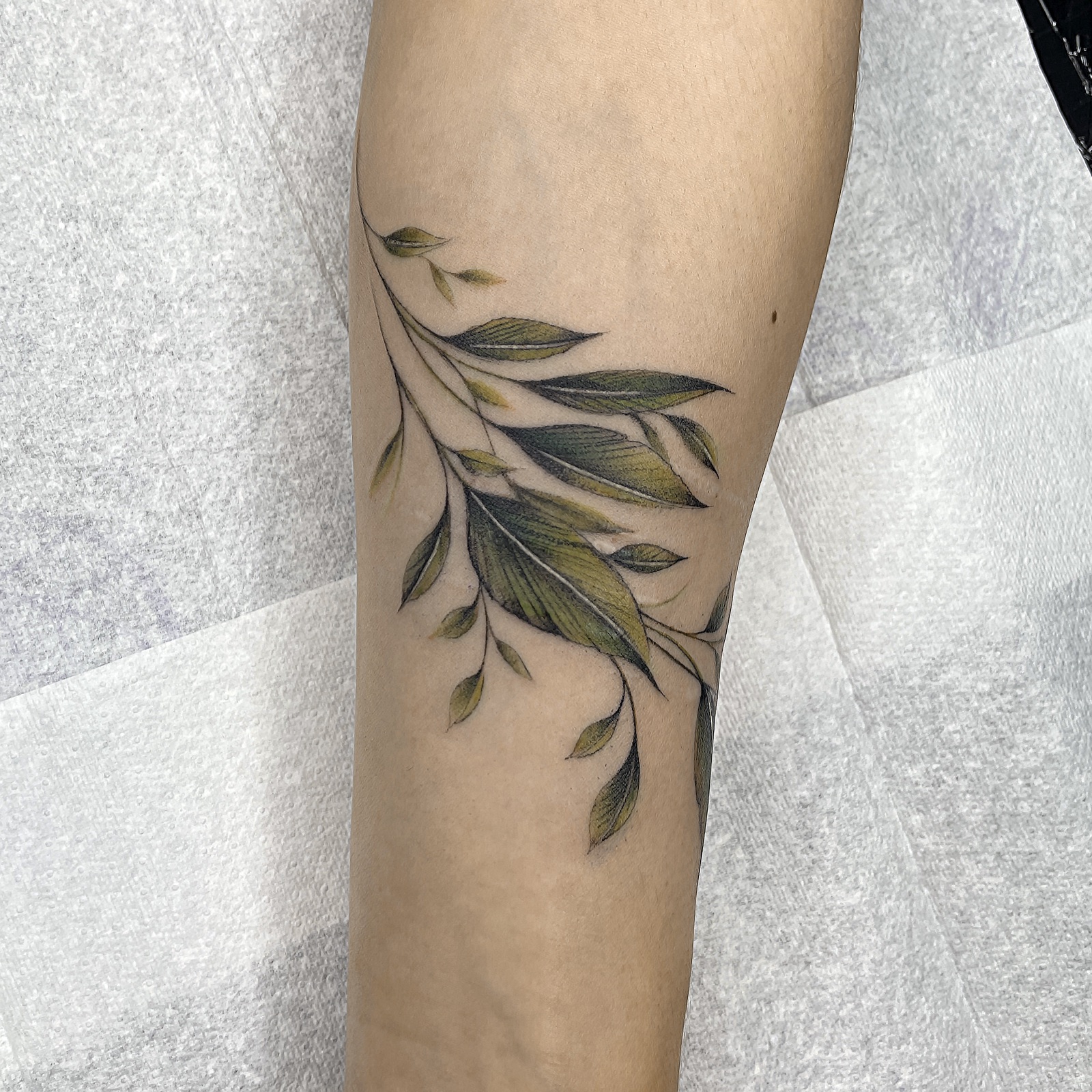 Gerda Ra Tattoo · Spalvotos