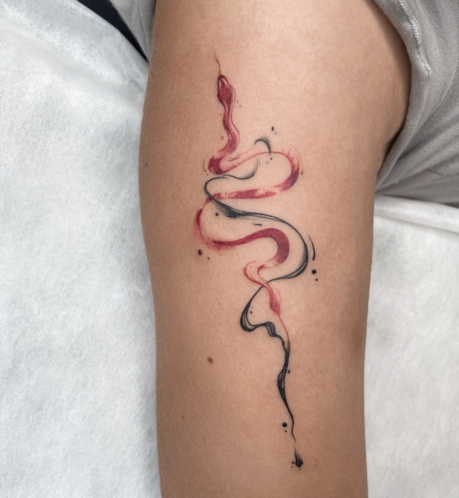 Gerda Ra Tattoo · Spalvotos
