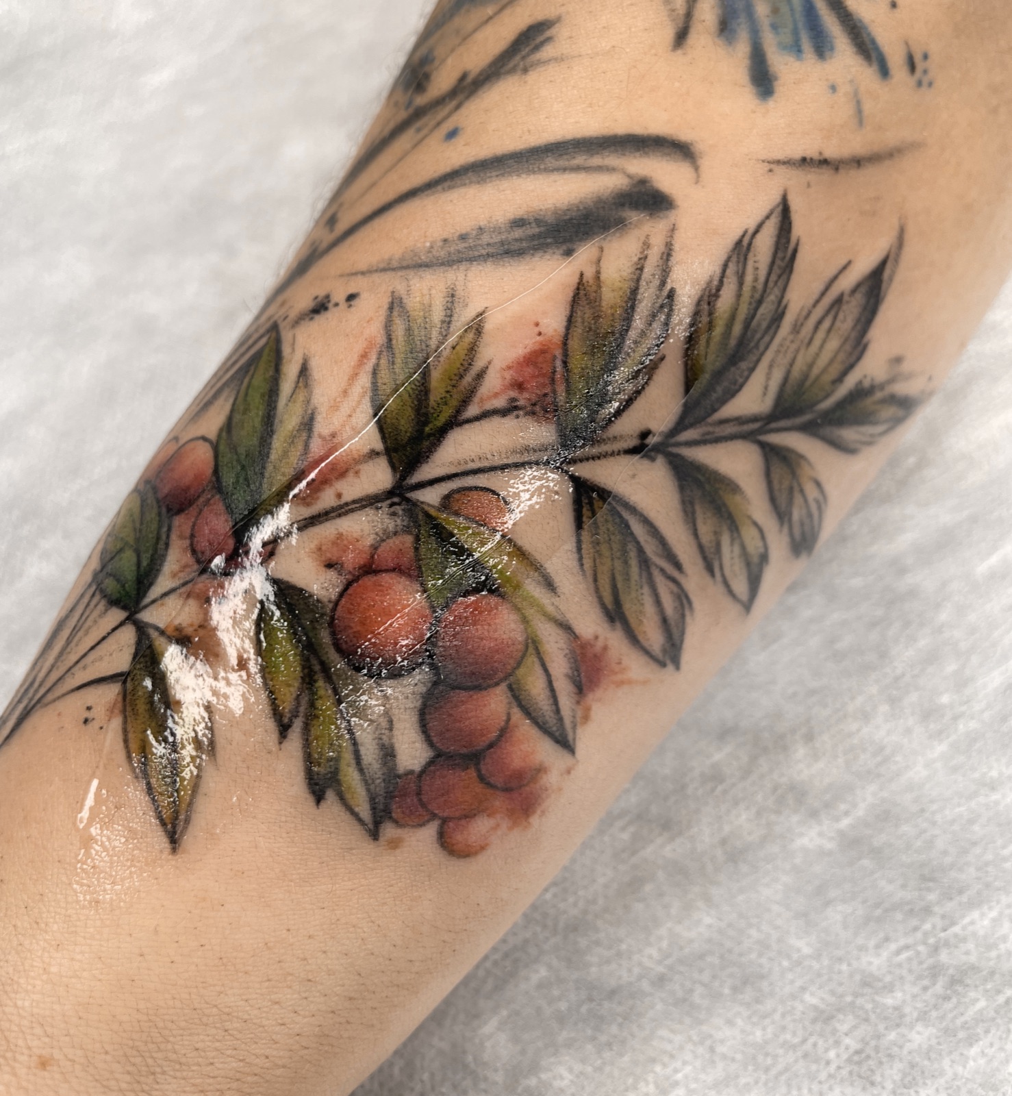 Gerda Ra Tattoo · Spalvotos